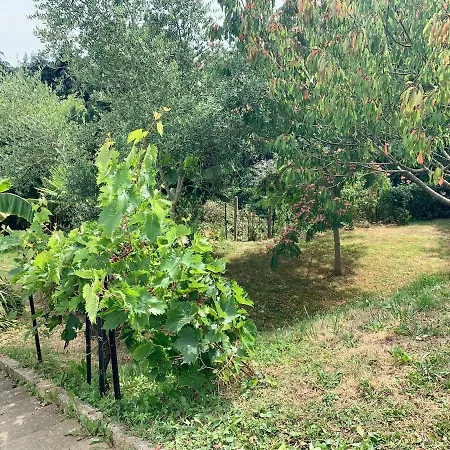 Maison Avec Jardin - 6 Voyageurs Saint-Valery-en-Caux